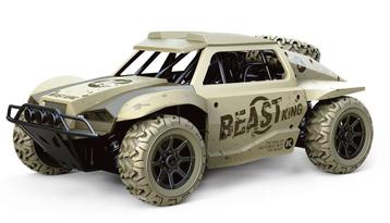 Beast Dune Buggy 4WD 1 op 18 RTR