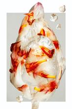 Elena Paraskeva - Cryoflora #1