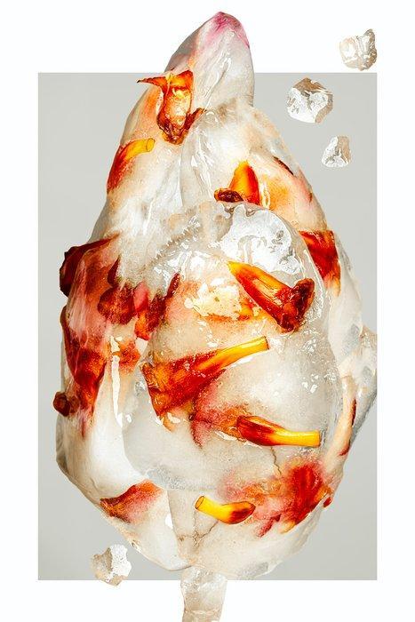 Elena Paraskeva - Cryoflora #1, Antiek en Kunst, Kunst | Designobjecten