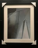 Fabio Accorrà - The freedom lines, Antiek en Kunst