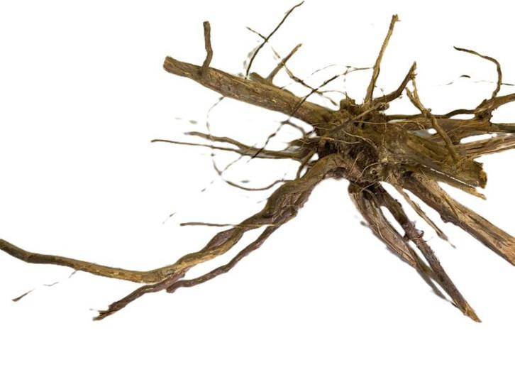 Driftwood Selected  DW52- 45x30x22cm (Small drift wood), Dieren en Toebehoren, Vissen | Aquaria en Toebehoren, Plant(en), Steen of Hout