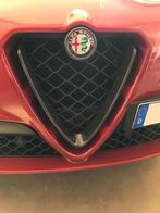 Alfa Romeo Stelvio QV Carbon Fiber voor grill cover, Verzenden