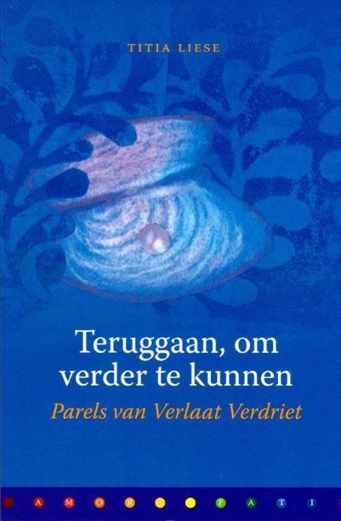 Teruggaan, om verder te kunnen / Verlaat Verdriet Focusreeks, Boeken, Politiek en Maatschappij, Zo goed als nieuw, Verzenden