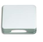 ABB Busch-Jaeger Cover Plate 50x50 CPL KD 1746-24G-101, Verzenden, Nieuw, Overige typen