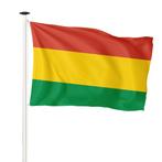 NR 535: Carnaval vlag 200x300cm (voor masten van 7 of 8, Nieuw