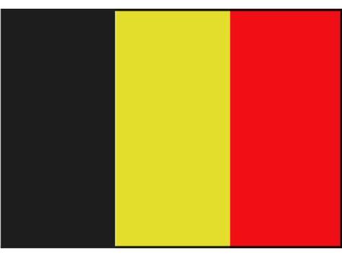 Belgische boot vlag 20 x 30 cm, Watersport en Boten, Accessoires en Onderhoud, Nieuw, Ophalen of Verzenden