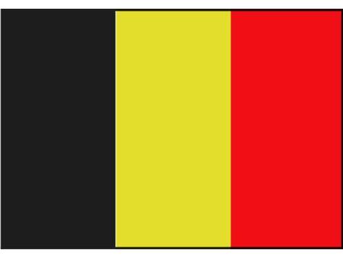 Belgische boot vlag 20 x 30 cm, Watersport en Boten, Accessoires en Onderhoud, Nieuw, Ophalen of Verzenden