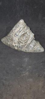 Taino-cultuur Pierre Zémi trigonolite Yukahu - 13 cm