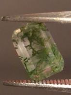 Natural Faceted Agate - Green Moss Agate - 0.473 ct - octago, Verzenden, Nieuw