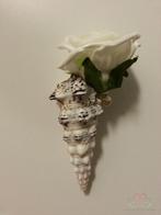 Cerithium Nodulosum schelpen 1 kilo, Hobby en Vrije tijd, Knutselen, Ophalen of Verzenden, Nieuw