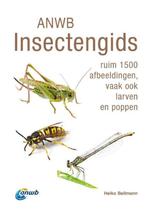9789043928786 ANWB natuurgidsen - ANWB Insectengids, Boeken, Verzenden, Nieuw, Heiko Bellmann