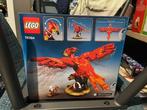 Lego Set - 76394 - Harry Potter - Fawkes, Dumbledores, Kinderen en Baby's, Speelgoed | Duplo en Lego, Nieuw