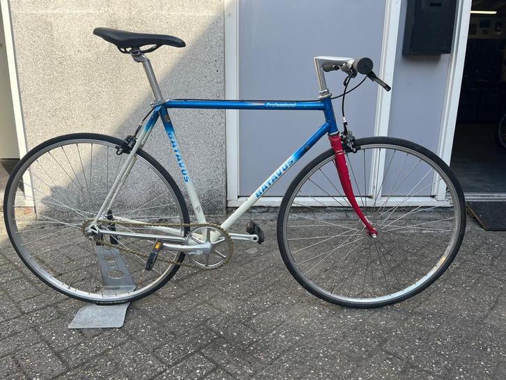 Batavus Singlespeed racefiets / sportfiets 54 cm M, Fietsen en Brommers, Overige Fietsen en Brommers, Gebruikt, Ophalen