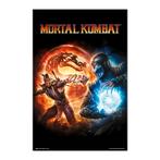 Poster Mortal Kombat 9 Videogame 61x91,5cm, Verzenden, Nieuw, A1 t/m A3