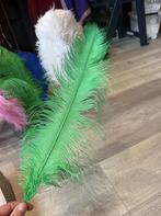 Spadonis veren groen 50 cm., Diversen, Ophalen of Verzenden, Nieuw