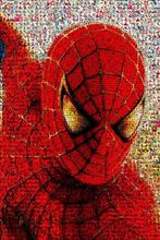 David Law - Crypto Spiderman V- Format XL 50x75