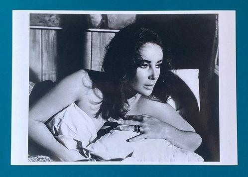 Sunset Boulevard - Elizabeth Taylor sur le tournage de The, Antiek en Kunst, Kunst | Designobjecten