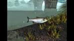 Reel Fishing III (ps2 tweedehands game), Ophalen of Verzenden, Zo goed als nieuw