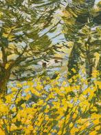 Michele Cascella (1892-1989) - Ginestre in toscana