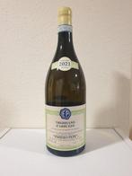 2021 Emidio Pepe Trebbiano - Abruzzo DOC - 1 Magnum (1,5 L), Verzamelen, Nieuw