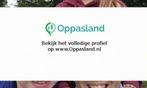 Rutger zoekt een oppas in Veghel voor 2 kinderen op vrijd...