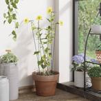 vidaXL Plantenstaken 20 st 91 cm staal donkergroen, Tuin en Terras, Verzenden, Nieuw, 60 cm of meer