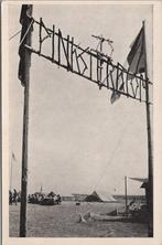 NIEUWVLIET - De poort met de vlaggen, Verzamelen, Ansichtkaarten | Nederland, Verzenden, Gelopen