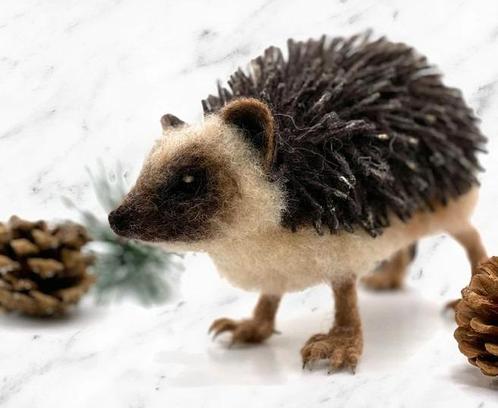 Naaldvilt-pakket egel, Hobby en Vrije tijd, Vilt, Overige typen, Nieuw, Ophalen of Verzenden