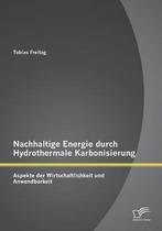 9783958509801 Nachhaltige Energie durch Hydrothermale Kar..., Nieuw, Tobias Freitag, Verzenden