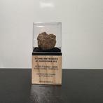 Al Haggounia 001 meteoriet - Chrondiet meteoriet - Op, Verzamelen, Mineralen en Fossielen