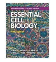 Essential Cell Biology, 9780393680393 beschikbaar voor biedingen