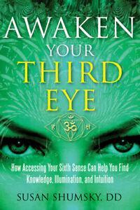 Awaken your third eye: how accessing your sixth sense can, Boeken, Taal | Engels, Gelezen, Verzenden
