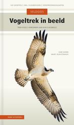 9789050119238 Veldgids - Vogeltrek in beeld, Boeken, Verzenden, Nieuw, Sam Gobin