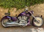 Harley-Davidson - V-ROD - VRSCA - 1200 cc - 2006, Motoren