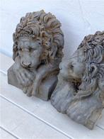 sculptuur, Teste Leoni Canova style - 30 cm - Steen