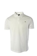 Paul & Shark polo maat 3XL, Kleding | Heren, Polo's, Verzenden, Nieuw, Wit, Paul and Shark
