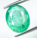 1 pcs Groen Smaragd - 4.38 ct