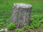 Boomstronken verwijderen met  Stobbenfrees, Tuinonderhoud of Snoeiwerk