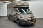 Citroen Jumper  Horsetruck, Dieren en Toebehoren, Paarden en Pony's | Trailers en Aanhangwagens, Verzenden, Gebruikt