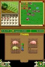Pass the Pigs (Nintendo DS used game), Ophalen of Verzenden, Zo goed als nieuw