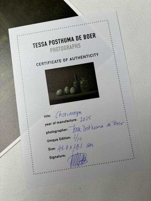 Tessa Posthuma de Boer - Cherimoya, Antiek en Kunst, Kunst | Schilderijen | Modern