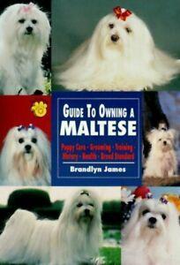 Guide to owning a Maltese by Brandlyn James (Paperback), Boeken, Taal | Engels, Gelezen, Verzenden