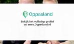 Lindsey en Jerom zoekt een oppas in Babberich voor 2 kind...