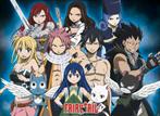 Poster Fairy Tail Group 2 52x38cm, Verzenden, Nieuw, A1 t/m A3