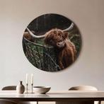 Schotse Hooglander Hek - Muurcirkel - ø 80 cm +Ophangset, Verzenden, Nieuw, Print