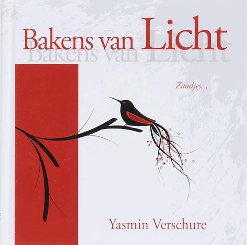 BAKENS VAN LICHT 9789063787363 Y. Verschure, Boeken, Esoterie en Spiritualiteit, Zo goed als nieuw, Verzenden