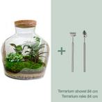 DIY terrarium -  Fat Joe -  30 cm, Tuin en Terras, Verzenden