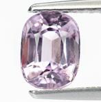 Zonder Minimumprijs Spinel  - 1.05 ct - Antwerp Laboratory, Nieuw