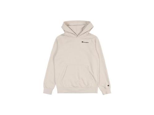 Veiling - Champion Trui Hoodie (Maat M), Kleding | Heren, Truien en Vesten