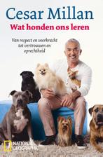 Wat honden ons leren 9789059567429 Cesar Millan, Verzenden, Zo goed als nieuw, Cesar Millan